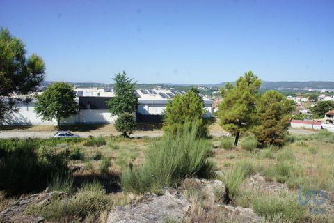 Helårsgrund i Chaves, Vila Real, Chaves - € 3.097.500 | Ref: 100886 - foto 13