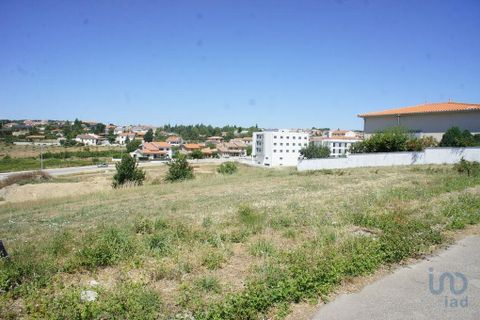 Tomt i Valpacos, Vila Real, Valpacos - € 35 175 | Ref: 101142 - foto 6