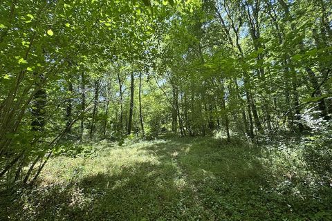 Villa a Orignolles, Charente-Maritime, Orignolles - € 745.000 | Ref: 149 - foto 17