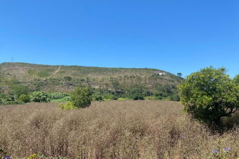 Villa a Condeixa-a-Nova, Coimbra, Condeixa-a-Nova - € 480.000 | Ref: C0237-03535 - foto 43