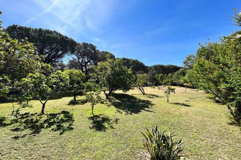 Villa i Budoni, Sassari, Budoni - € 650.000 | Ref: BD708 - foto 5