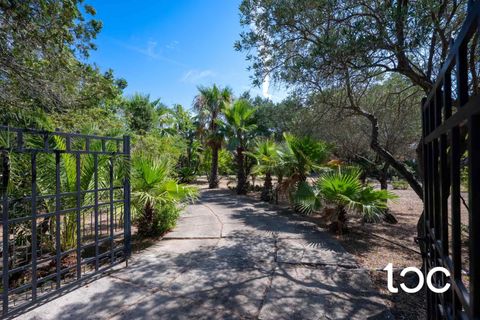 Villa - Budoni, Sassari, Budoni - € 680 000 | Réf : BD708 - photo 7