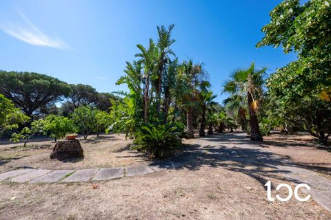 Villa - Budoni, Sassari, Budoni - € 680 000 | Réf : BD708 - photo 8