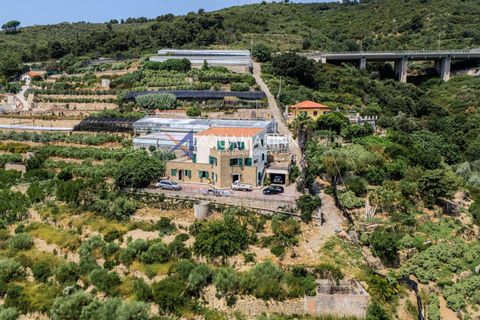 Villa i Bordighera, Imperia, Bordighera - € 2.490.000 | Ref: 13996 - foto 2