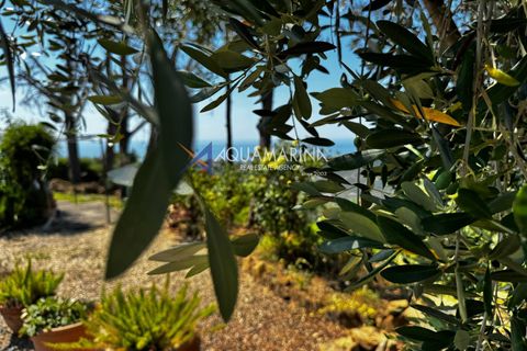 Villa i Sanremo, Imperia, Sanremo - € 690.000 | Ref: 13999 - foto 19