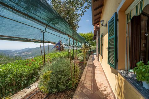 Villa a Pontedassio, Imperia, Pontedassio - € 450.000 | Ref: 14003 - foto 11