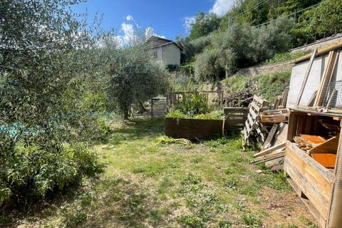 Villa a Borgomaro, Imperia, Borgomaro - € 230.000 | Ref: 965 - foto 17