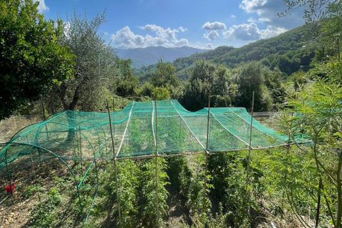Villa a Borgomaro, Imperia, Borgomaro - € 230.000 | Ref: 965 - foto 18