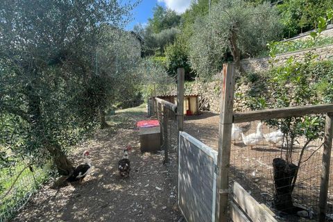 Villa a Borgomaro, Imperia, Borgomaro - € 230.000 | Ref: 965 - foto 19