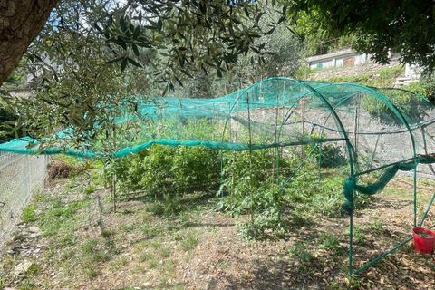 Villa a Borgomaro, Imperia, Borgomaro - € 230.000 | Ref: 965 - foto 40