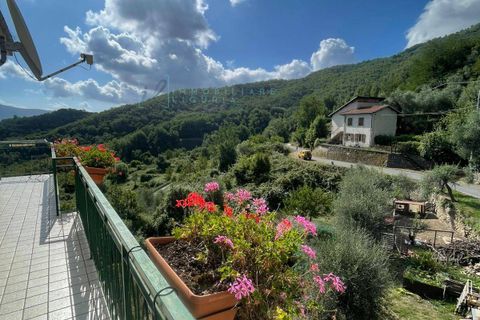 Villa a Borgomaro, Imperia, Borgomaro - € 230.000 | Ref: 965 - foto 44