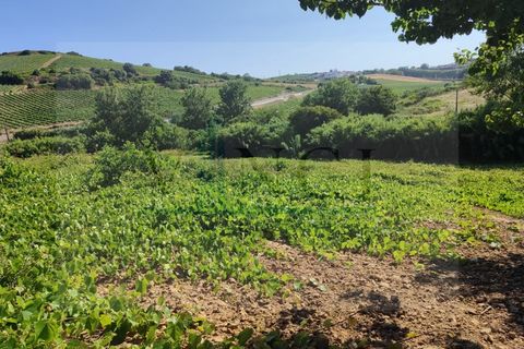 Helårsgrund i Torres Vedras, Lisbon, Torres Vedras - € 22.500 | Ref: SÒL_1370 - foto 1