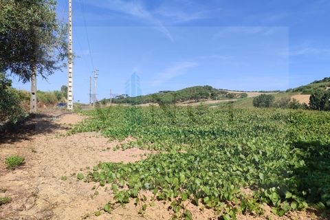 Helårsgrund i Torres Vedras, Lisbon, Torres Vedras - € 22.500 | Ref: SÒL_1370 - foto 3