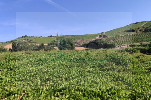 Helårsgrund i Torres Vedras, Lisbon, Torres Vedras - € 22.500 | Ref: SÒL_1370 - foto 4