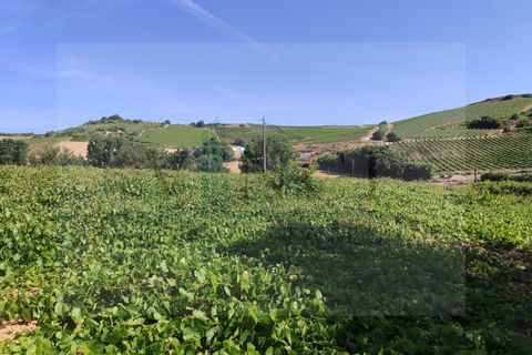 Helårsgrund i Torres Vedras, Lisbon, Torres Vedras - € 22.500 | Ref: SÒL_1370 - foto 5