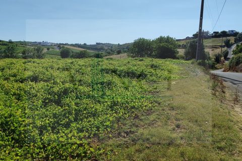 Helårsgrund i Torres Vedras, Lisbon, Torres Vedras - € 22.500 | Ref: SÒL_1370 - foto 6