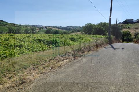 Helårsgrund i Torres Vedras, Lisbon, Torres Vedras - € 22.500 | Ref: SÒL_1370 - foto 7