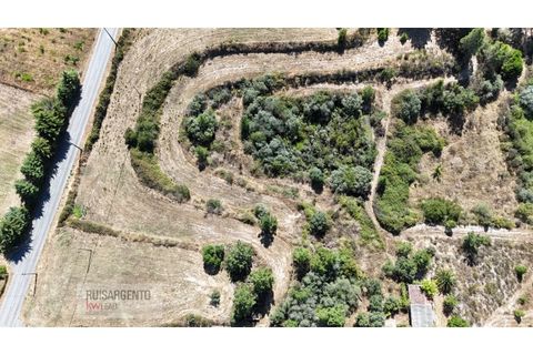 Terra a Ninho do Acor, Castelo Branco, Ninho do Acor - € 45.000 | Ref: TER_201RS210725 - foto 4