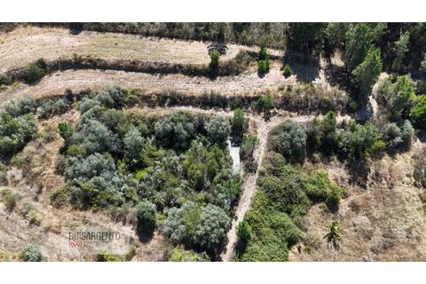 Terra a Ninho do Acor, Castelo Branco, Ninho do Acor - € 45.000 | Ref: TER_201RS210725 - foto 6