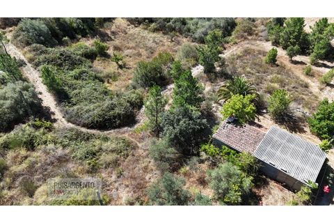 Terra a Ninho do Acor, Castelo Branco, Ninho do Acor - € 45.000 | Ref: TER_201RS210725 - foto 7