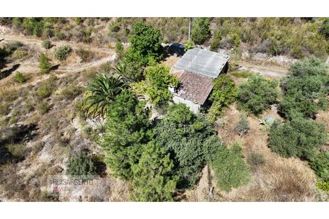 Terra a Ninho do Acor, Castelo Branco, Ninho do Acor - € 45.000 | Ref: TER_201RS210725 - foto 3
