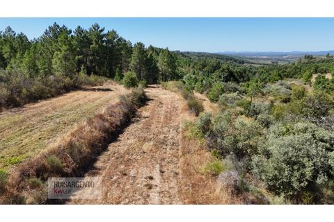 Terra a Ninho do Acor, Castelo Branco, Ninho do Acor - € 45.000 | Ref: TER_201RS210725 - foto 2