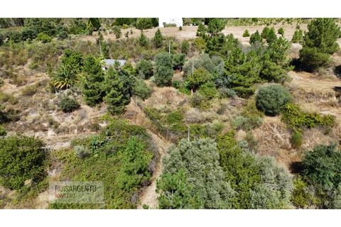 Terra a Ninho do Acor, Castelo Branco, Ninho do Acor - € 45.000 | Ref: TER_201RS210725 - foto 13