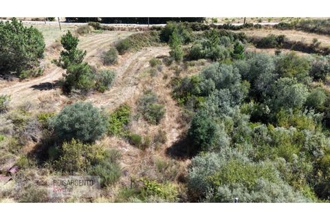 Terra a Ninho do Acor, Castelo Branco, Ninho do Acor - € 45.000 | Ref: TER_201RS210725 - foto 15