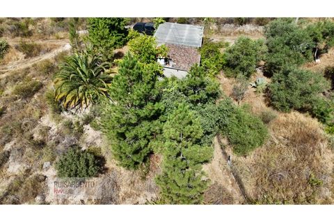 Terra a Ninho do Acor, Castelo Branco, Ninho do Acor - € 45.000 | Ref: TER_201RS210725 - foto 16