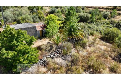 Terra a Ninho do Acor, Castelo Branco, Ninho do Acor - € 45.000 | Ref: TER_201RS210725 - foto 17