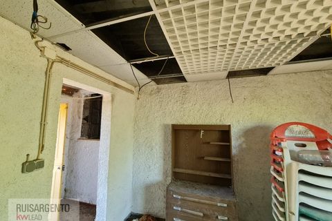 Terra a Ninho do Acor, Castelo Branco, Ninho do Acor - € 45.000 | Ref: TER_201RS210725 - foto 19