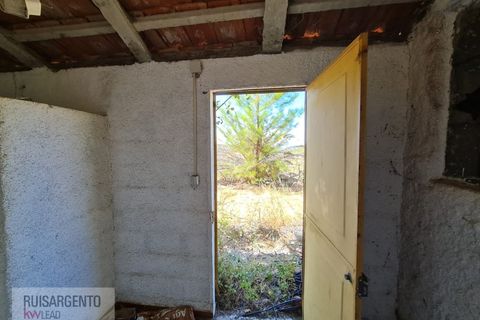 Terra a Ninho do Acor, Castelo Branco, Ninho do Acor - € 45.000 | Ref: TER_201RS210725 - foto 21