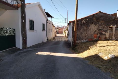 Helårsgrund i Olaia e Paco, Santarem, Olaia e Paco - € 28.500 | Ref: C0452-00144 - foto 3
