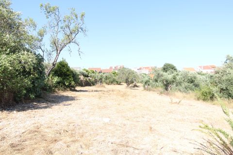 Helårsgrund i Olaia e Paco, Santarem, Olaia e Paco - € 28.500 | Ref: C0452-00144 - foto 7