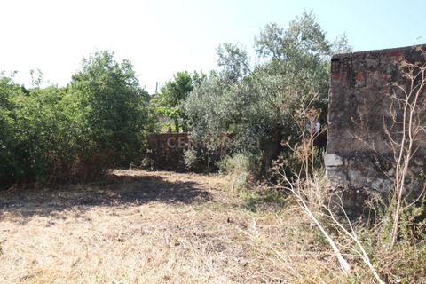 Helårsgrund i Olaia e Paco, Santarem, Olaia e Paco - € 28.500 | Ref: C0452-00144 - foto 9