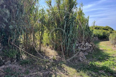 Helårsgrund i Almocageme, Lisbon, Almocageme - € 460.000 | Ref: LANE_7991 - foto 4