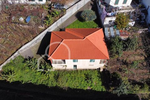 Villa i Camara de Lobos, Madeira, Camara de Lobos - € 395.000 | Ref: DR409 - foto 5