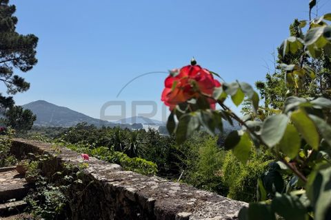 Villa i Viana do Castelo, Viana do Castelo, Viana do Castelo - € 690.000 | Ref: A822025 - foto 33