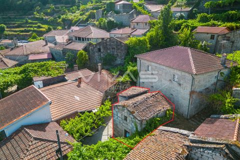 Villa i Terras de Bouro, Braga, Terras de Bouro - € 45.000 | Ref: 01-3661 - foto 3