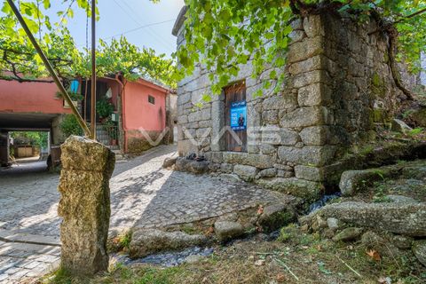 Villa i Terras de Bouro, Braga, Terras de Bouro - € 45.000 | Ref: 01-3661 - foto 5