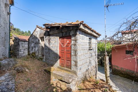Villa i Terras de Bouro, Braga, Terras de Bouro - € 45.000 | Ref: 01-3661 - foto 9