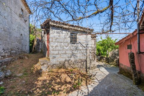 Villa i Terras de Bouro, Braga, Terras de Bouro - € 45.000 | Ref: 01-3661 - foto 10