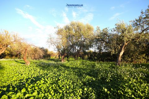Helårsgrund i Noto, Siracusa, Noto - € 240.000 | Ref: 1185 - foto 2