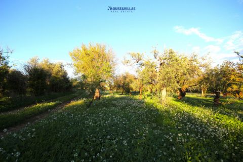 Helårsgrund i Noto, Siracusa, Noto - € 240.000 | Ref: 1185 - foto 3