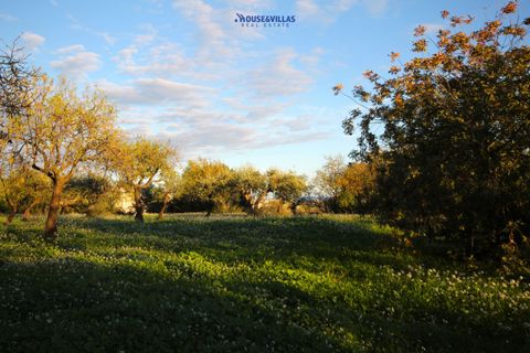 Helårsgrund i Noto, Siracusa, Noto - € 240.000 | Ref: 1185 - foto 5
