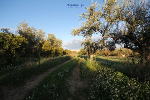Helårsgrund i Noto, Siracusa, Noto - € 240.000 | Ref: 1185 - foto 6