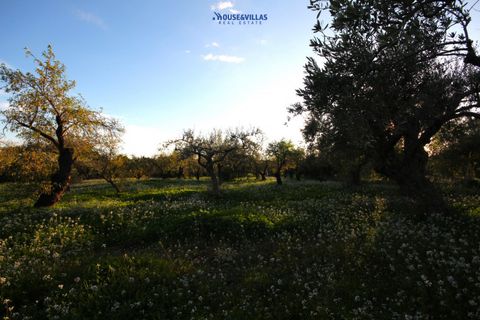 Helårsgrund i Noto, Siracusa, Noto - € 240.000 | Ref: 1185 - foto 7