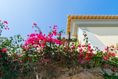 Byhus i Almancil, Faro, Almancil - € 750.000 | Ref: 2408 - foto 16