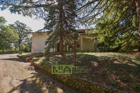 Villa i Force, Ascoli Piceno, Force - € 225.000 | Ref: 114965 - foto 11