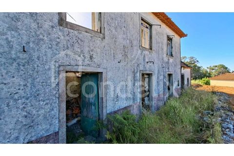 Villa i Calheta, Madeira, Calheta - € 195.000 | Ref: 101217 - foto 4